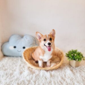 Corgi (Bob Tail) Australia F